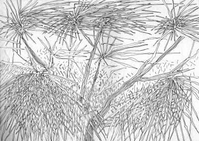 Branchages et vent - Croquis au feutre noir - 24 cm x 32 cm