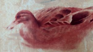 Le canard brun - pastel sur papier 32 cm x 50 cm