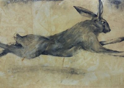 Lièvre fuyant - fusain sur papier 32 cm x 50 cm