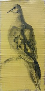Tourterelle sur une branche - Fusain sur carton 33cm x 17 cm