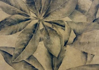 Feuilles de magnolia - Fusain sur papier 50 cm x 65 cm