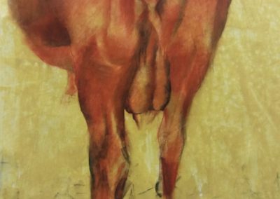 Post coîtum animal triste - Sanguine sur papier 65 cm x50 cm