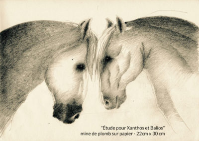 Étude pour Xanthos et Balios - mine de plomb sur papier - 22 cm x 30 cm