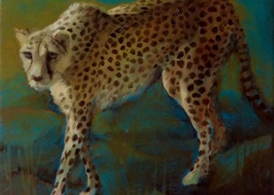 Guépard le soir - Huile sur toile 20 cm x 20 cm