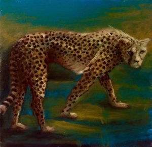 Guépard le soir - Huile sur toile - 20 cm x 20 cm