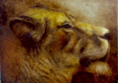 Lionne - Huile sur bois 22 cm x 28 cm